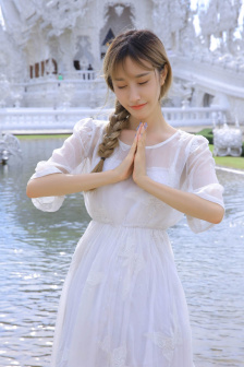 小狗当家